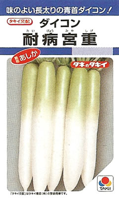 ダイコン種【　耐病宮重　】 （栽培用 種子 大根 だいこん 大根 タキイ）