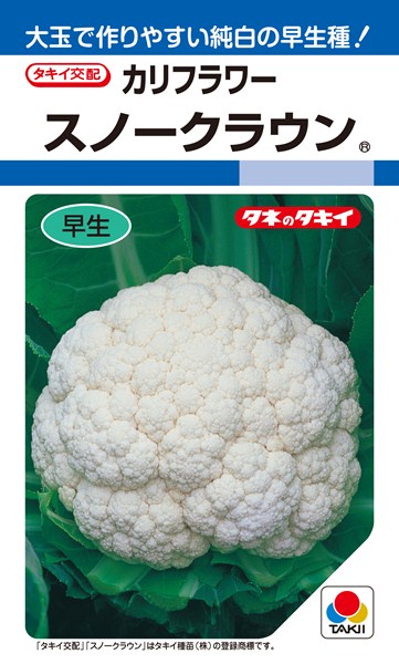 〈RF・DF小袋・20ml・L5千粒〉 カリフラワー種【　スノークラウン　】タキイ種苗