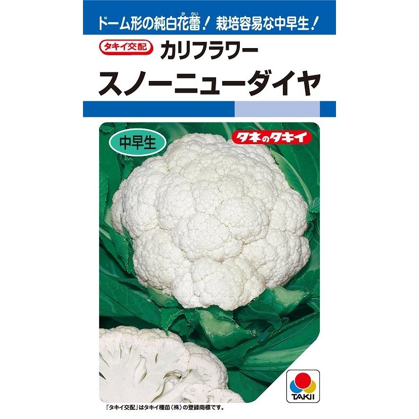 ※発芽率保証期限2026年4月末まで カリフラワー種【　スノーニューダイヤ　】タキイ種苗