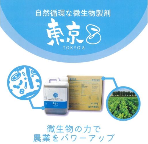 地びた組みかえる原材料【 日本の首都8 】