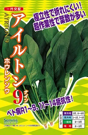 ホウレンソウ種【　アイルトン9　】 ナント種苗