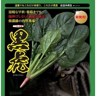 ホウレンソウ種【　黒虎　】 ナント種苗