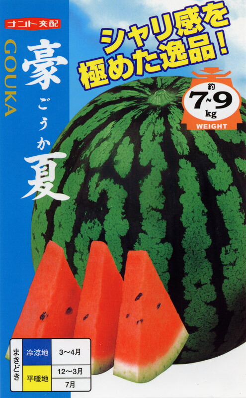 大玉スイカ種【　豪夏　】ナント種苗