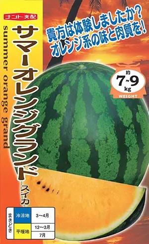 スイカサマーページ 小玉スイカ サマーオレンジベビー 5月中旬発送予定｜種（タネ