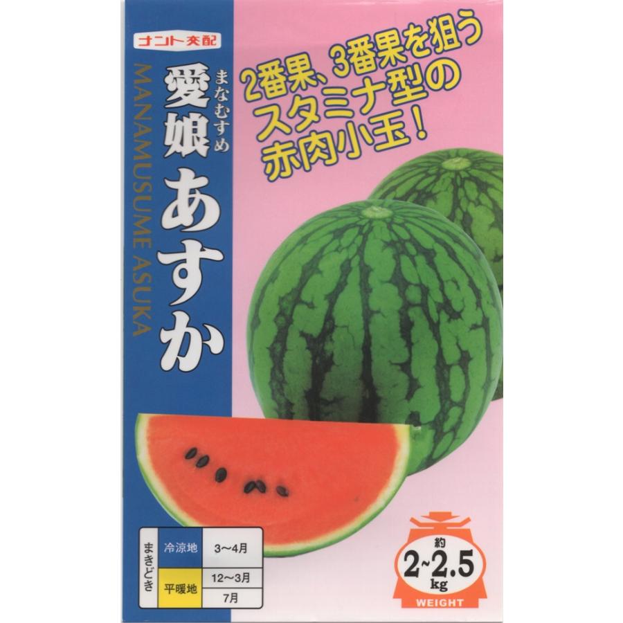 ３・茨城県・tomo・ピノガール 小玉スイカ・ピノガール| 種・苗・ガーデニング用品の【タキイ