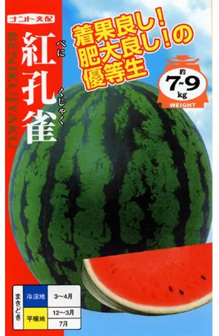大玉スイカ種【 紅クジャク 】ナント種苗