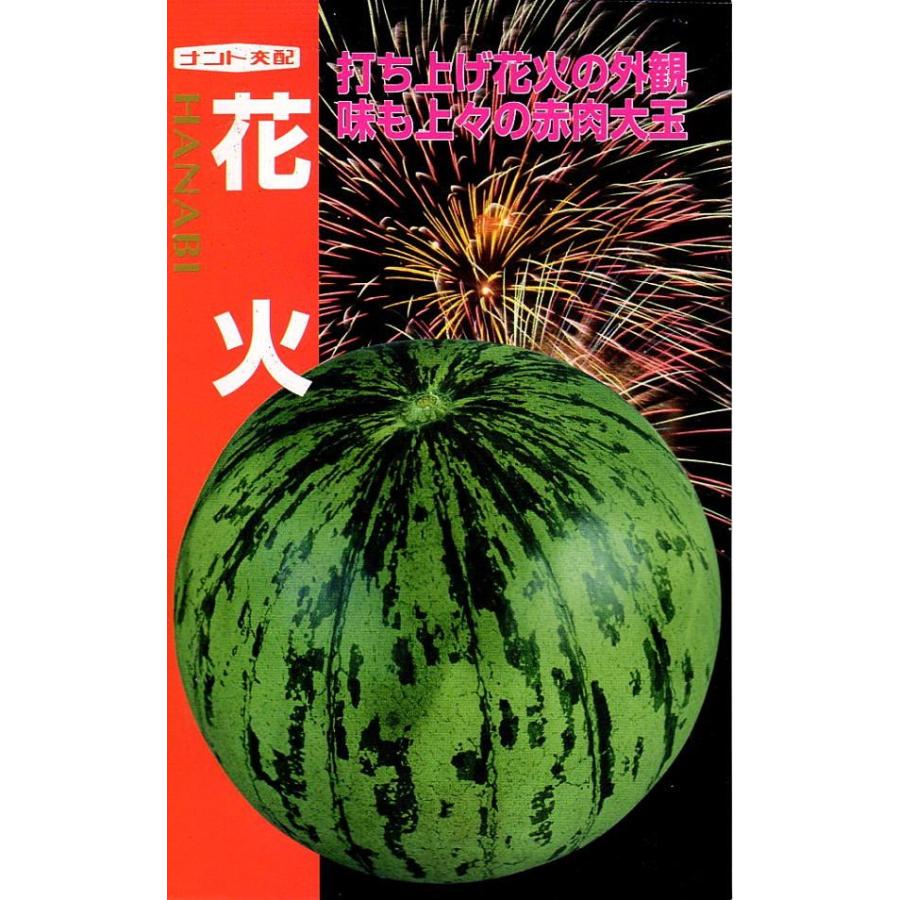 楽天市場】大玉スイカ種【 ピノ・ダディ 】ナント種苗 : みつ