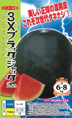 大玉スイカ種 【 3X黒いこと万力 】ナント種苗