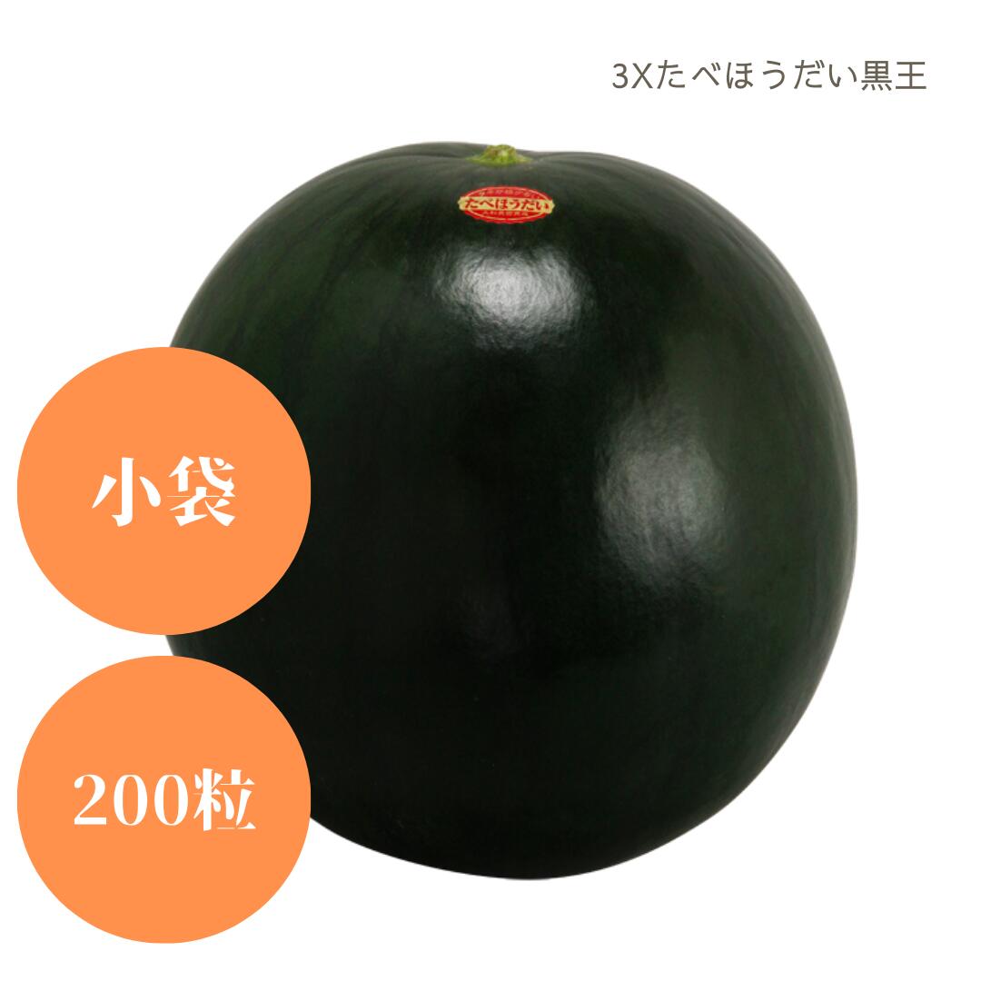 中玉スイカ種 【　3Xたべほうだい黒王　】大和農園