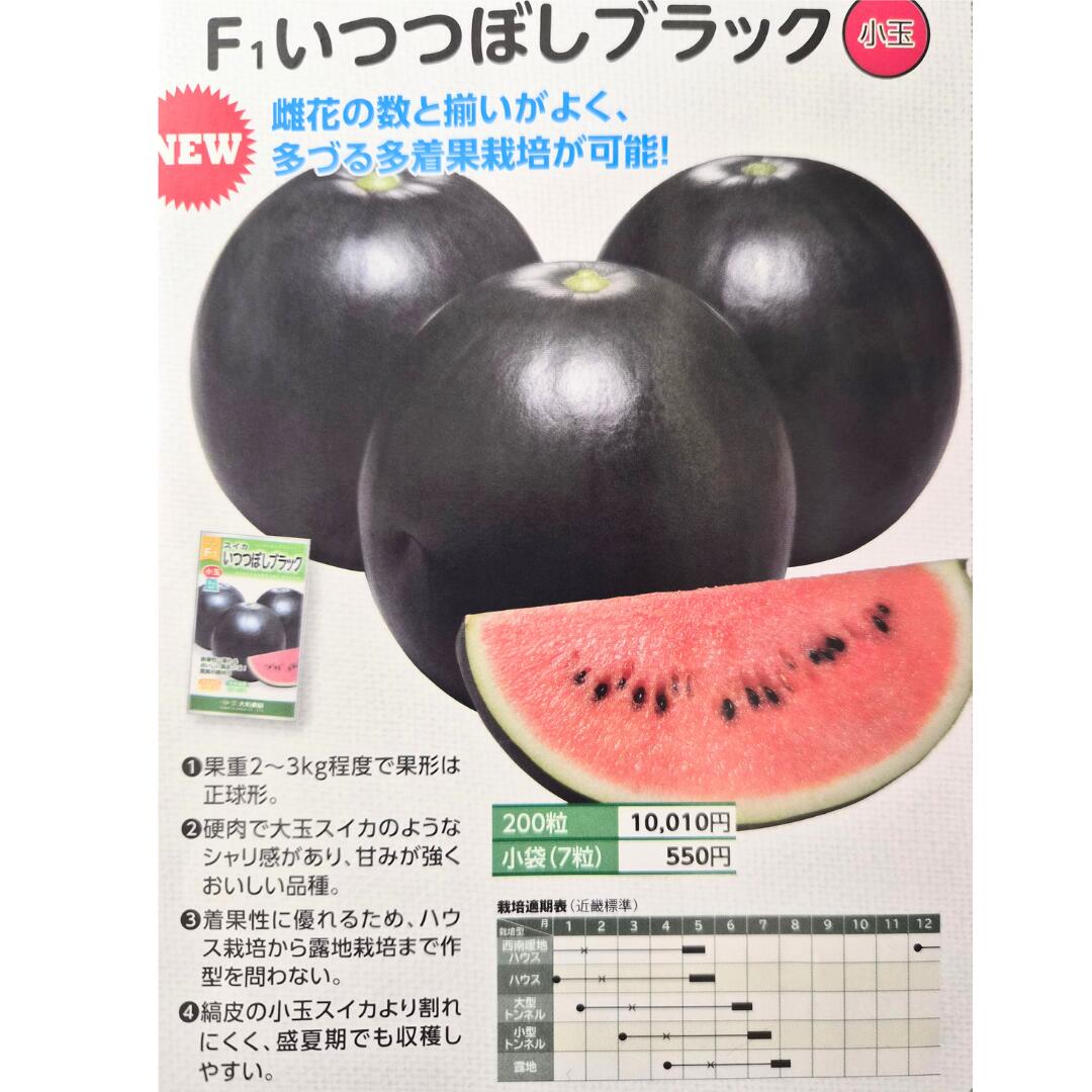 新商いもの 小玉スイカ種 【 いつつぼし黒いこと 】大和栽培所
