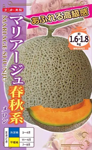 ※発芽率保証期限2026年5月末まで メロン種【　マリアージュ春秋系　】ナント種苗