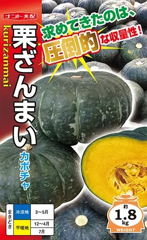 ※新種11月以後入荷予定を組む西洋カボチャ種【 栗ざんまい 】ナント種苗