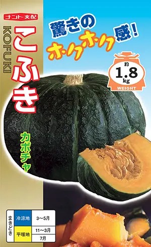 〈小袋・100粒・500粒〉西洋カボチャ種【 こふき 】ナント種苗