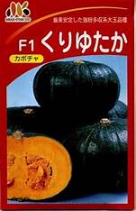 〈小袋・100粒・500粒〉西洋カボチャ種【 くりゆたか 】（ヴィルモランみかど）