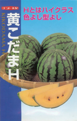 〈小袋・200粒〉 小玉スイカ種【　黄こだまH　】ナント種苗 7,894円