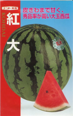 〈小袋・200粒〉 大玉スイカ種【　紅大　】ナント種苗