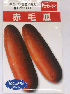 ★ウリ種【 赤毛瓜 】小袋 (栽培用 種子 アカモーウイ フタバ)|みつのぶ × Flower Trail