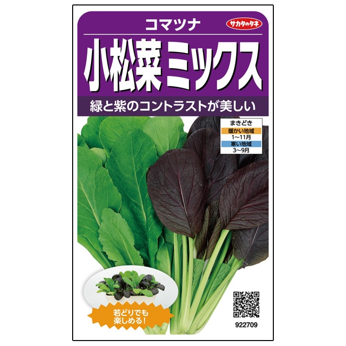 こまつなページ 楽天市場】コマツナ種【 静御前 】（栽培用 種子 しずかごぜん 小松菜