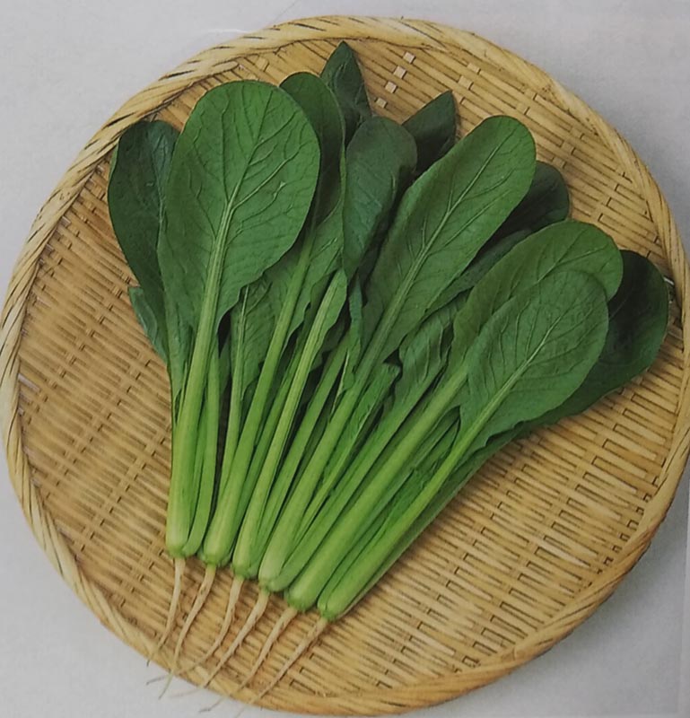 こまつな 楽天市場】スイフトスポーツ ホイールナット ZC33S M12xP1.25 テーパー