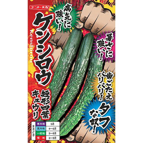 胡瓜種【 ケンシロウ短形四葉 】ナント種苗