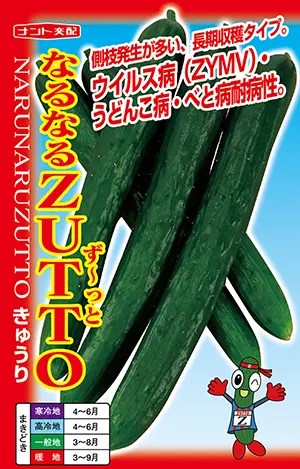黄瓜種【 なるなるZUTTO 】ナント種苗