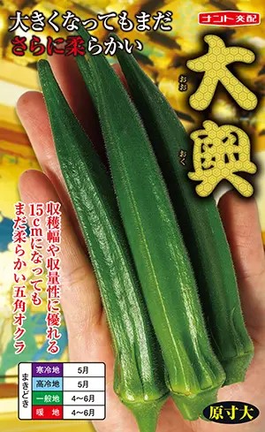 楽天市場】※新種2025年1月入荷後発送オクラ種【 五角オクラ 】15ml 