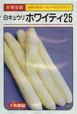 白黄瓜種【 ホワイティ25 】大和栽培所