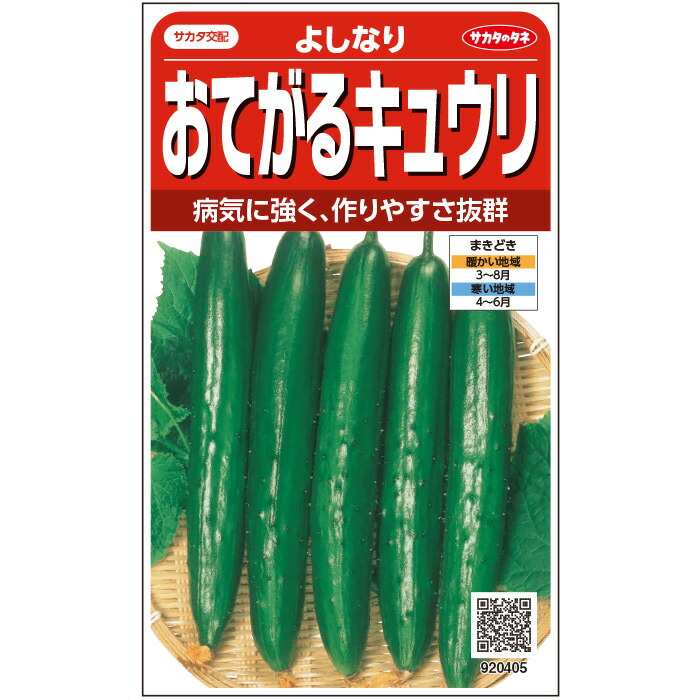 キュウリ種【　よしなり　】サカタのタネ