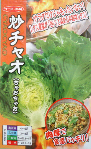 萵苣種【 炒チャオ（ちゃおちゃお）】 小袋 （作りだす用 内果皮 チシャ 苣 ナント）