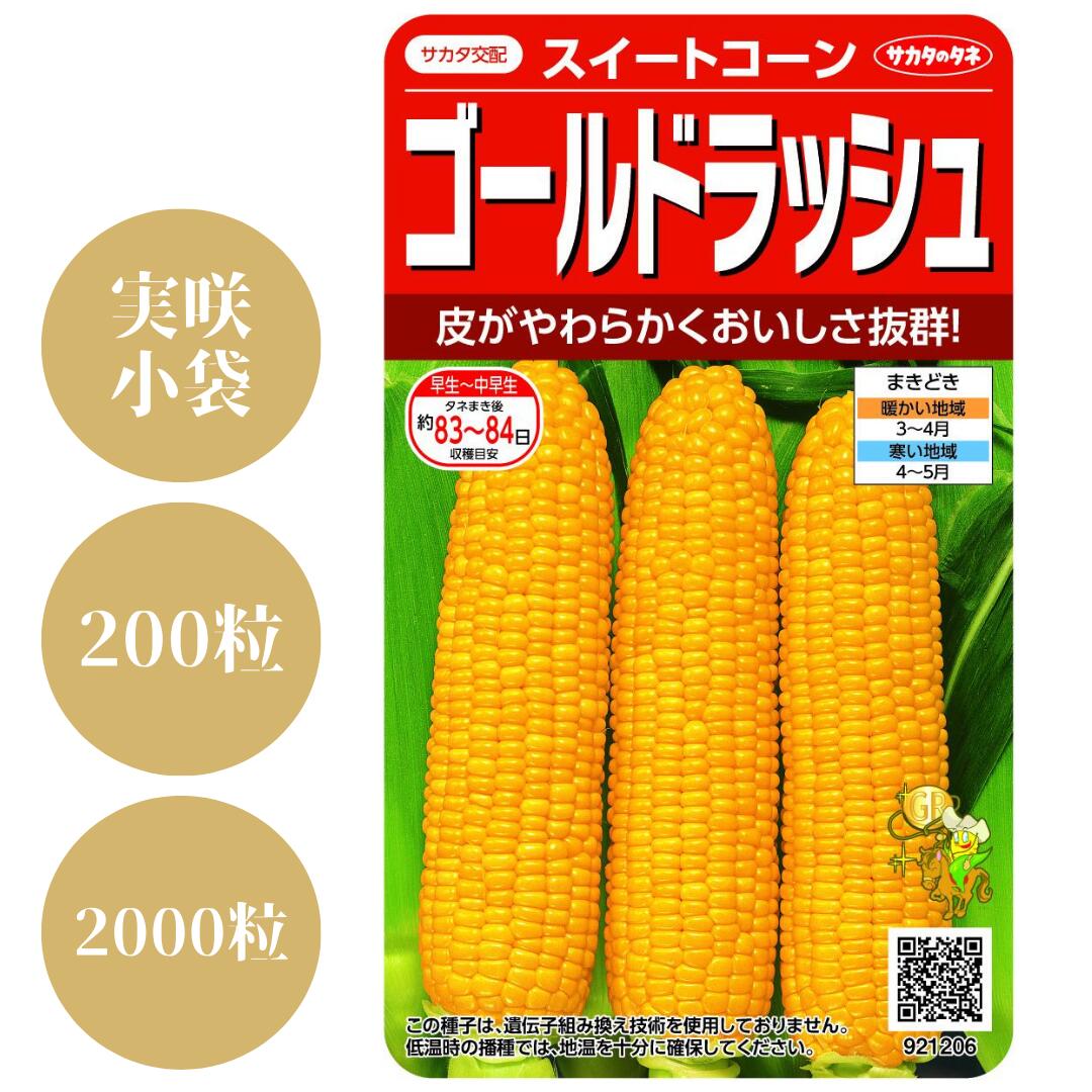 楽天市場】〈実咲小袋・200粒・2000粒〉トウモロコシ種