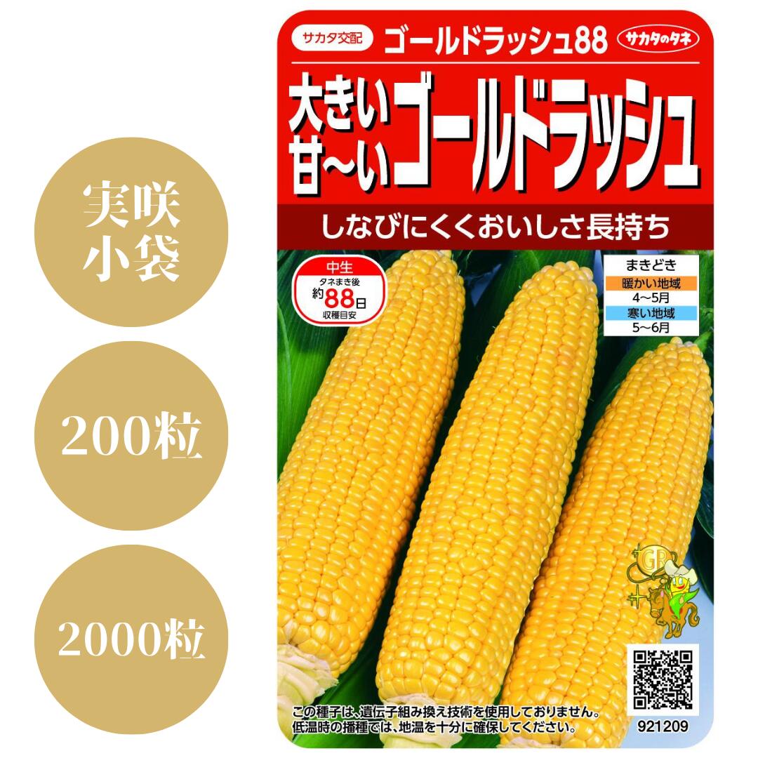 ゴールドラッシュ90 とうもろこし　スイートコーン　種　2025年　25袋 ゴールドラッシュ90 とうもろこし スイートコーン 種 2025年 25袋