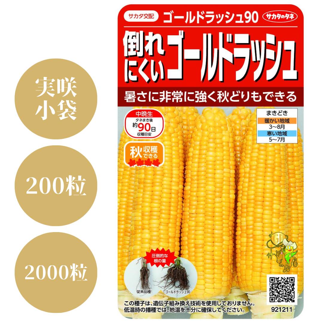 唐きび種【 ゴールド混雑時90 】サカタのタネ