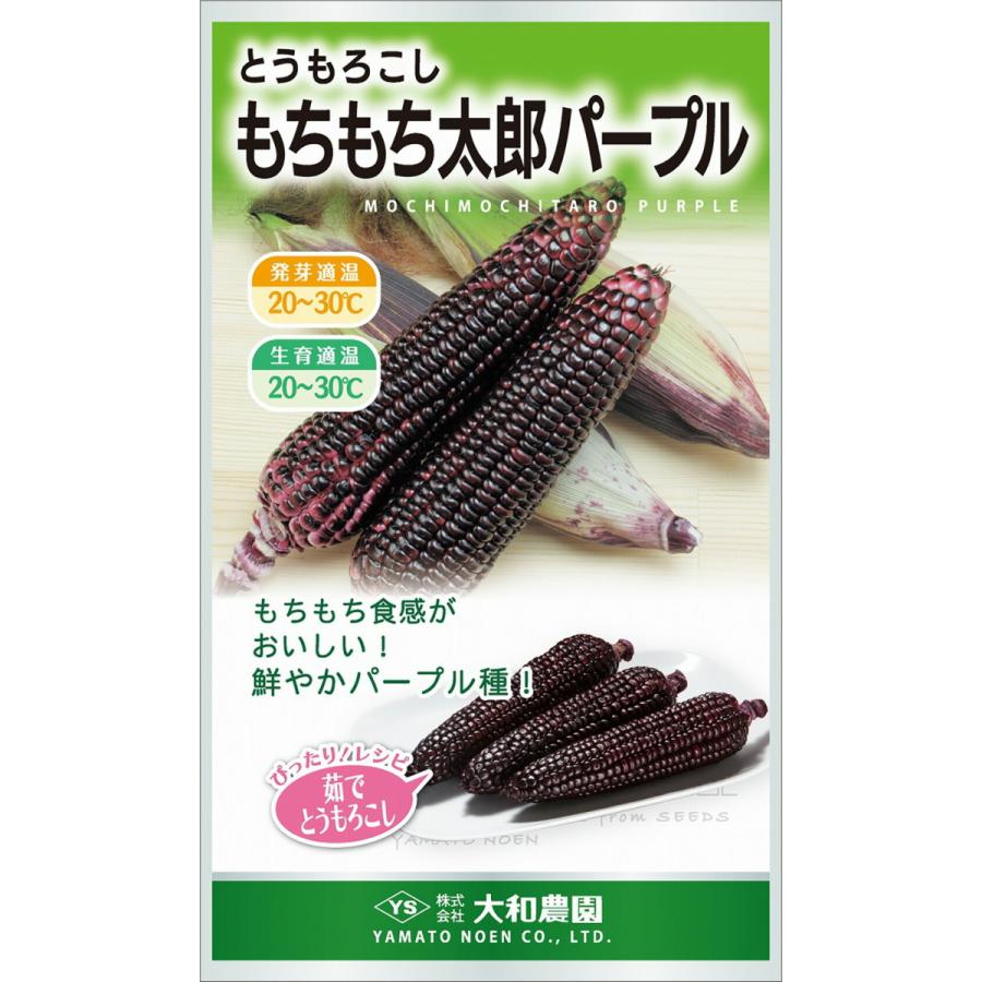 玉蜀黍内果皮【 論無く論無く太郎 パープル 】大和栽培所