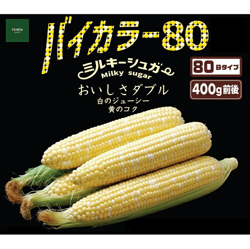 唐きび種【 ミルキー上白糖 バイ色つや80 】 (作りだす用 内果皮 トキタ種苗)
