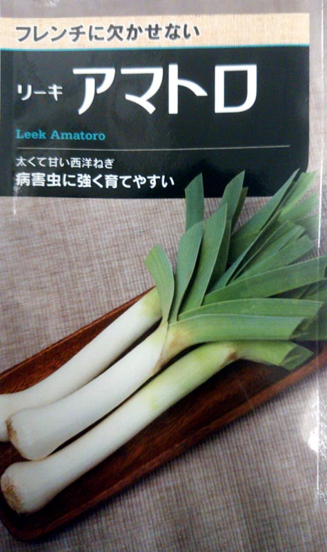 楽天市場 送料無料 リーキ種アマトロ 大袋 10000粒 西洋ねぎ 西洋ネギ 西洋葱 ポワロー 大規模 生産者 農場向け みつのぶ