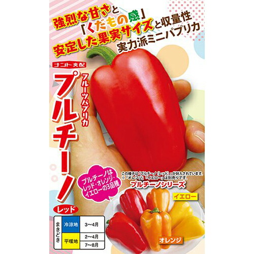 トウガラシ種【 プルチーノ 】100粒（作りだす用 内果皮 フルーツピーマン） ナント種苗