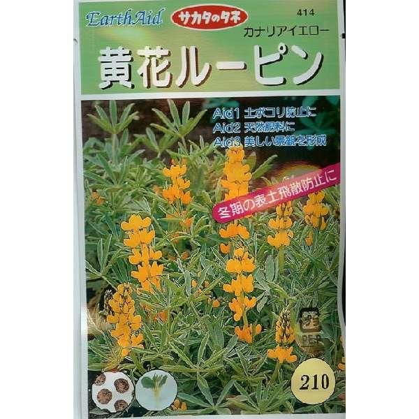 楽天市場 景観用植物種黄花ルーピン カナリアイエロー 14ml みつのぶ