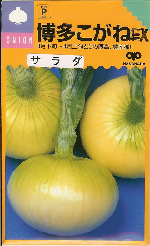 アンサー タマネギ 種子 七宝 100g 1缶 アンサー タマネギ 種子 七宝 100g 1缶 農家と研究者の目線で