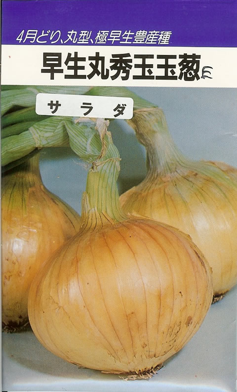 タマネギ種早生丸秀玉E型玉葱 (2dl)たまねぎ 玉ねぎ 玉ネギ 玉葱|みつのぶ × Flower Trail
