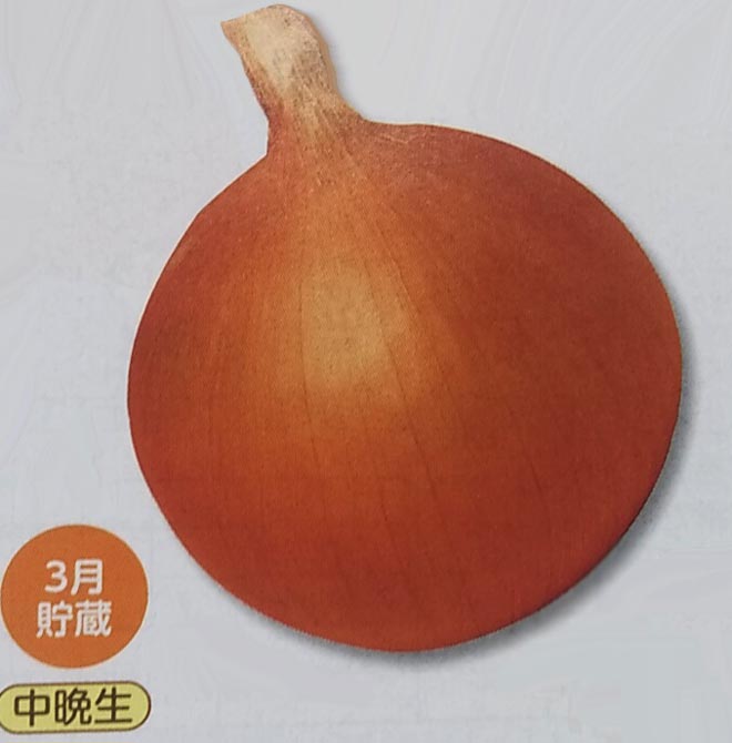 楽天市場】※8月頃入荷予定 タマネギ種【 ネオアース 】20ml （栽培用