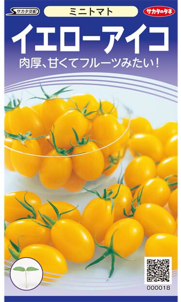 ミニ赤なす種【 黄色冷コー 】サカタのタネ