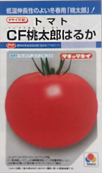 ※新種12月以後入荷予定を組む赤ナス種【 CF桃太郎杳々たる 】タキイ種苗 ガーデニング・農業-花・ガーデン・DIY