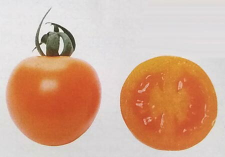 ミニトマト種 アリシア Primax種子 100粒 栽培用 種子 Makesweets Line Up 生産者向け オレンジカラー Clickcease Com