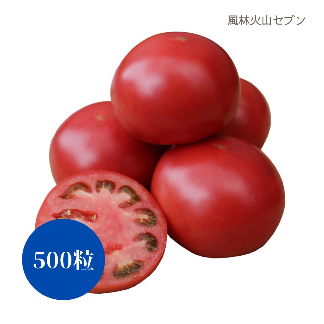 〈500粒〉 トマト種【　風林火山セブン　】ナント種苗