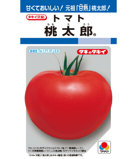 赤ナス種【 桃太郎 】タキイ種苗