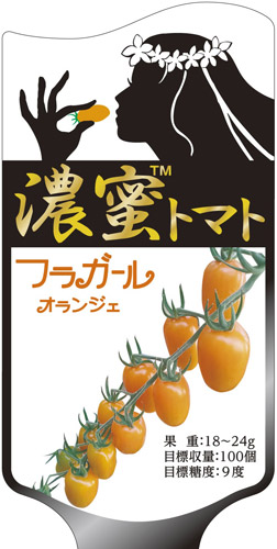 ミニ赤茄子種【 フラお嬢さん オランジェ 】（作りだす用 内果皮 トキタ種苗）