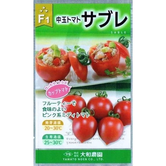 赤茄子種【 F1補欠選手レ 】（作りだす用 内果皮 大和栽培所）