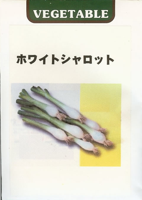 出産祝いなども豊富 令和3年産六条皮大麦 22kg シュンライ 種子 穀類