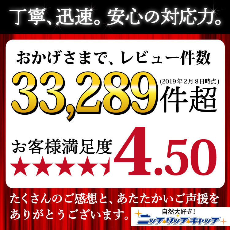 アライテント エアライズ アウトドア 1 オレンジ １人用 最大２人 山岳テント コールマン テント キャンプ 用品 ニッチ リッチ キャッチ