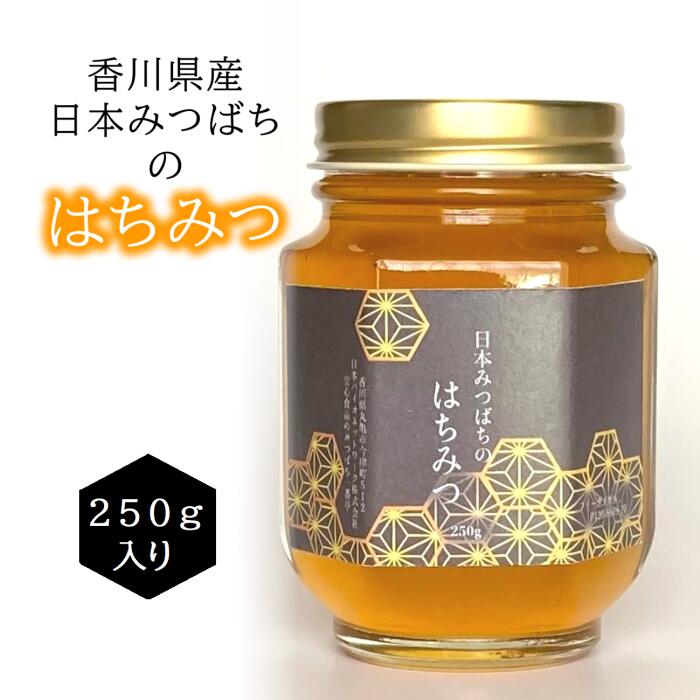 バリ島 針なしミツバチの蜂蜜(完全非加熱)150g 6本 サマーSALE
